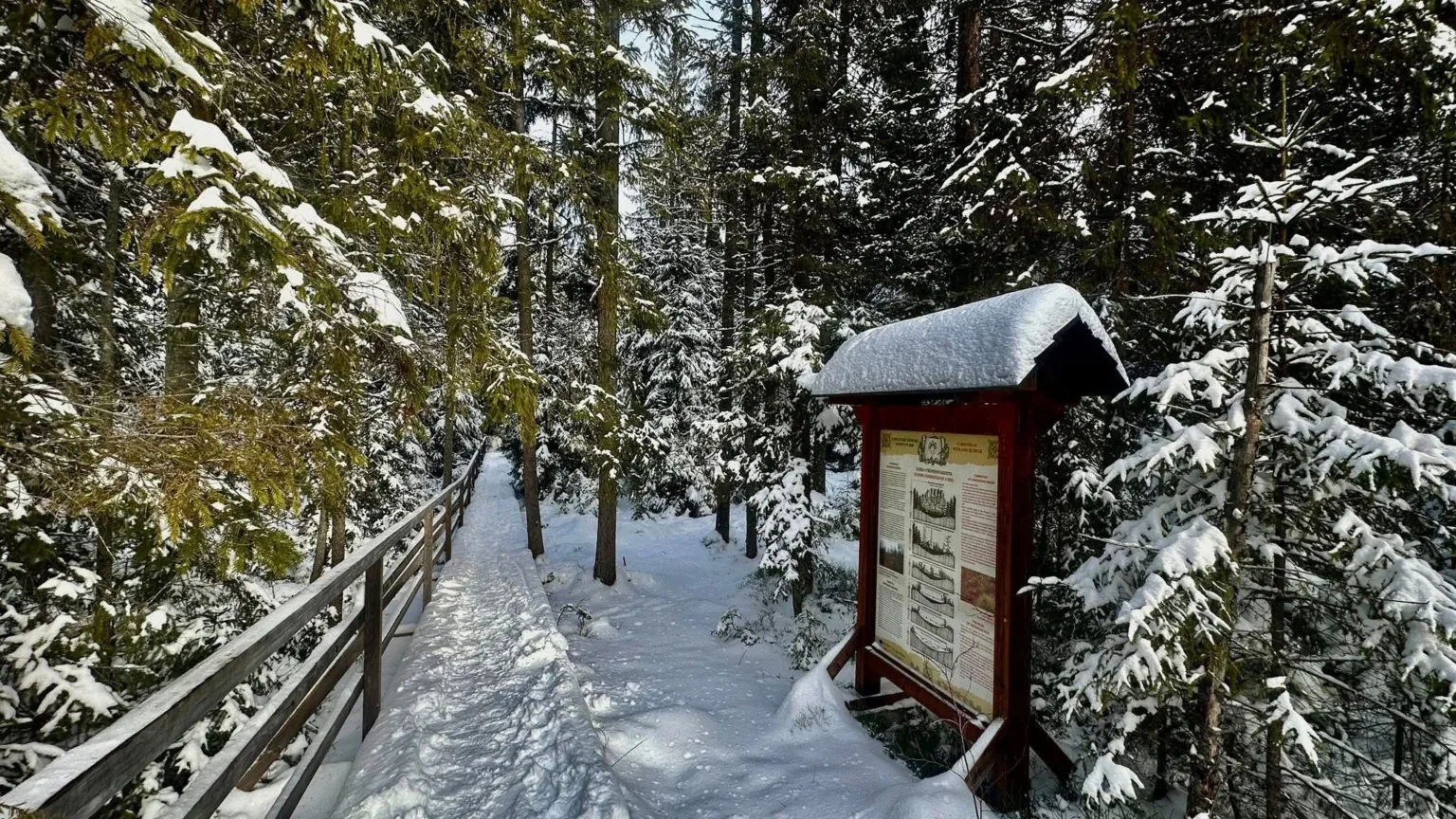 Засніжена лісова стежка з інформаційним щитом