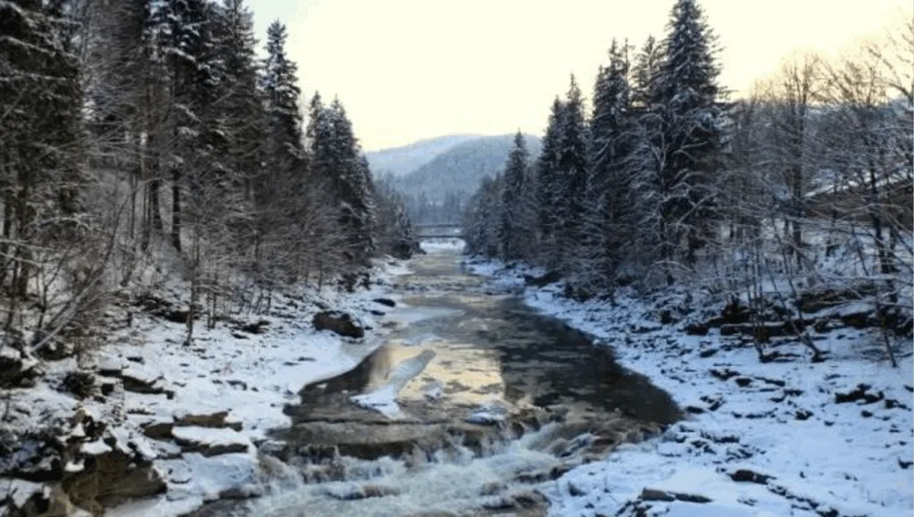 Зимовий пейзаж річки в горах з лісом