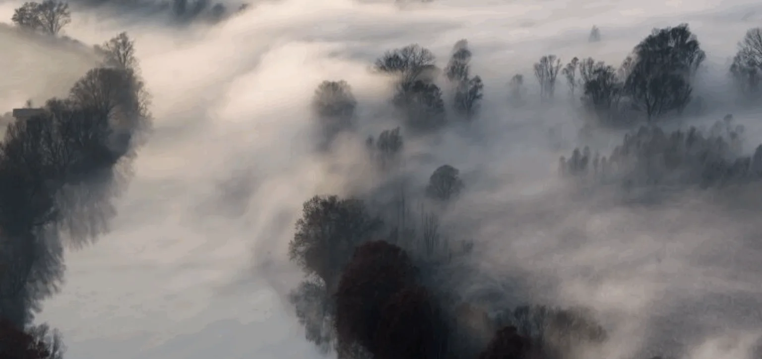 Річка та дерева, вкриті густим туманом