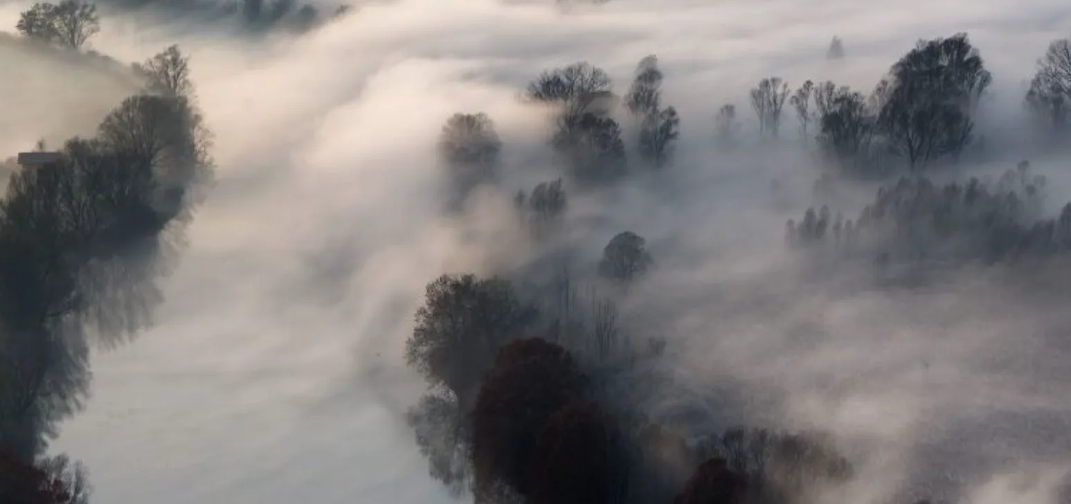 Річка та дерева, вкриті густим туманом