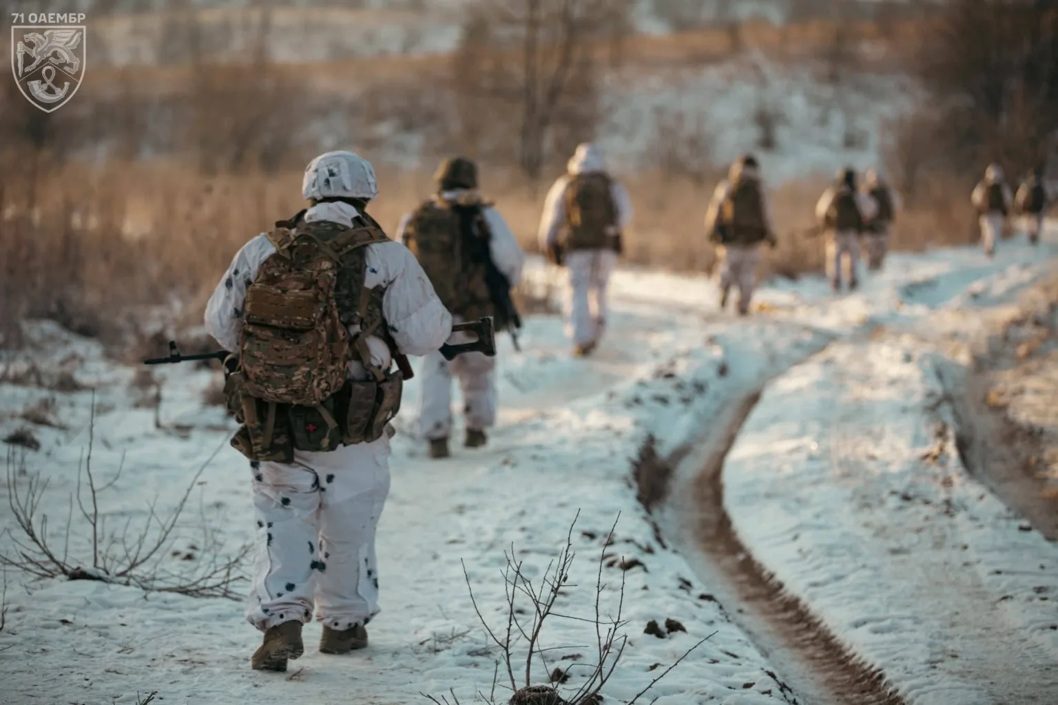 Військові йдуть сніжною дорогою взимку