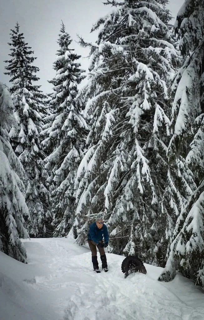 Людина йде засніженим лісом узимку