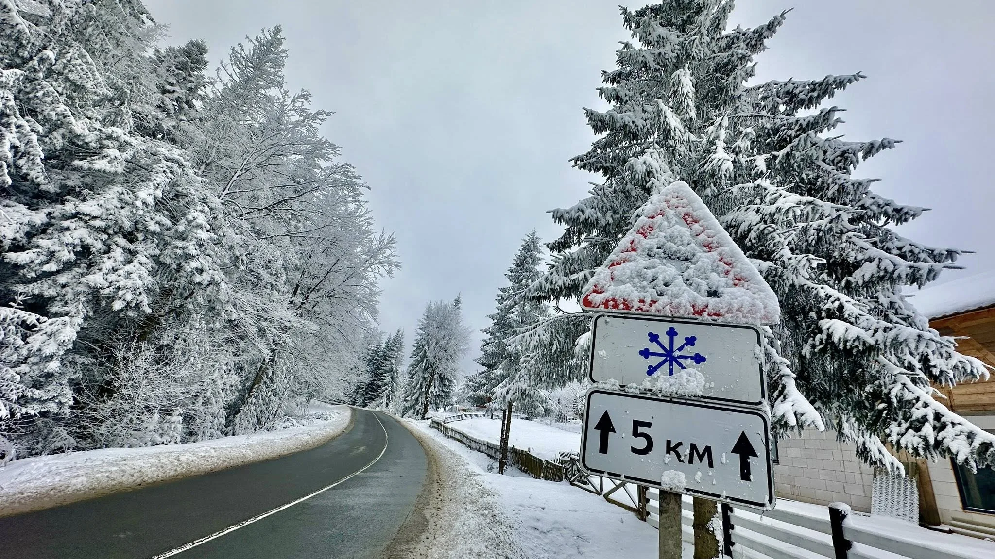 Засніжена дорога в лісі з попереджувальним знаком