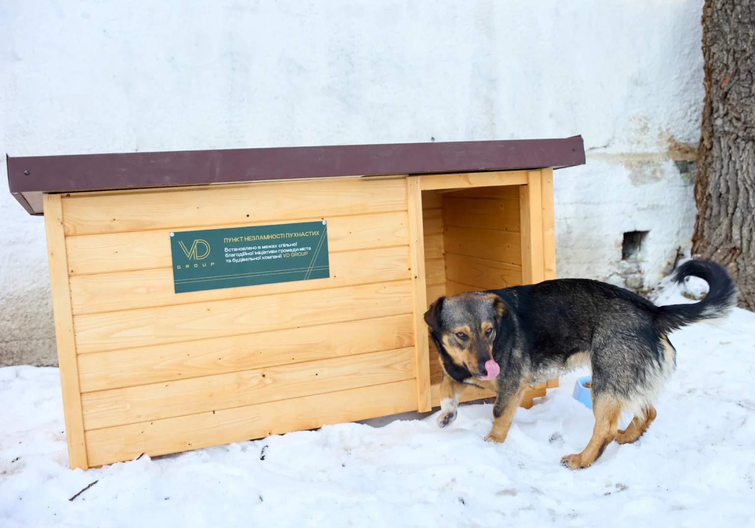 Собака біля дерев'яної будки взимку