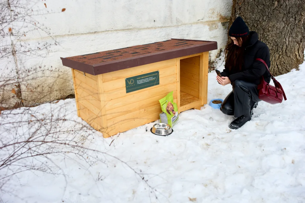 Жінка біля собачої будки взимку на снігу