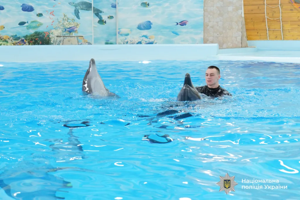 Тренування дельфінів з інструктором у басейні