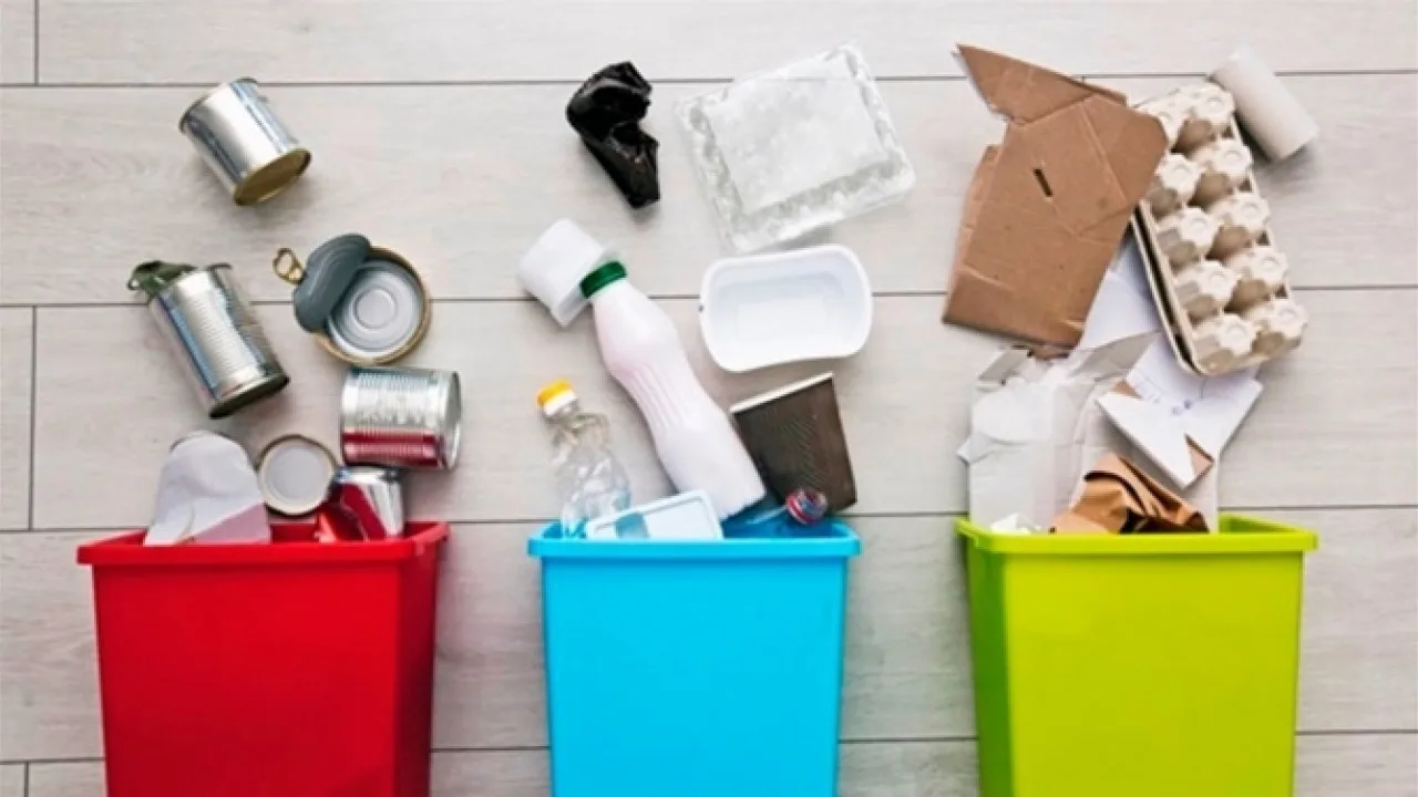 Сортування сміття у кольорові контейнери