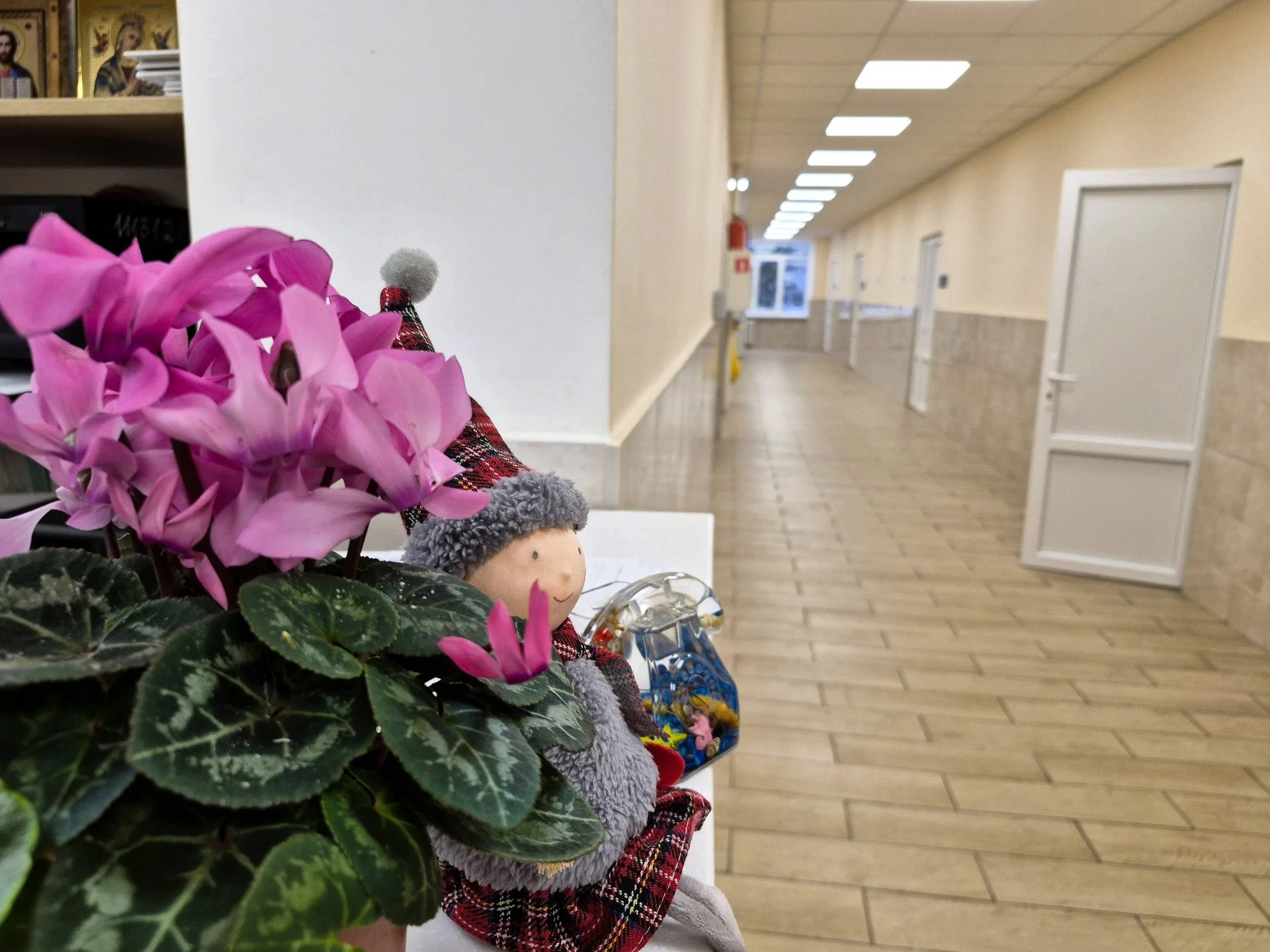 Рожева цикламена і лялька в коридорі
