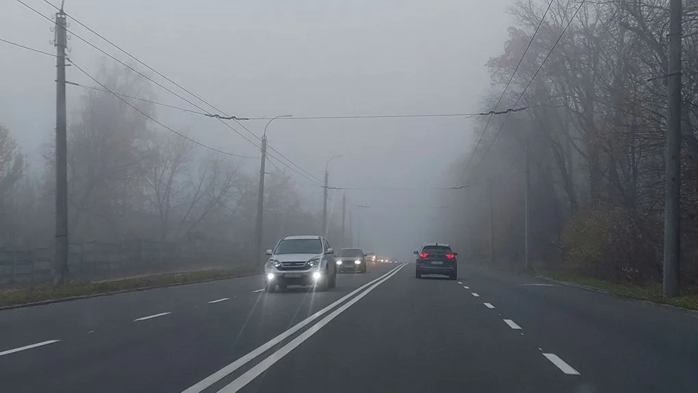 Автомобілі їдуть туманною дорогою восени