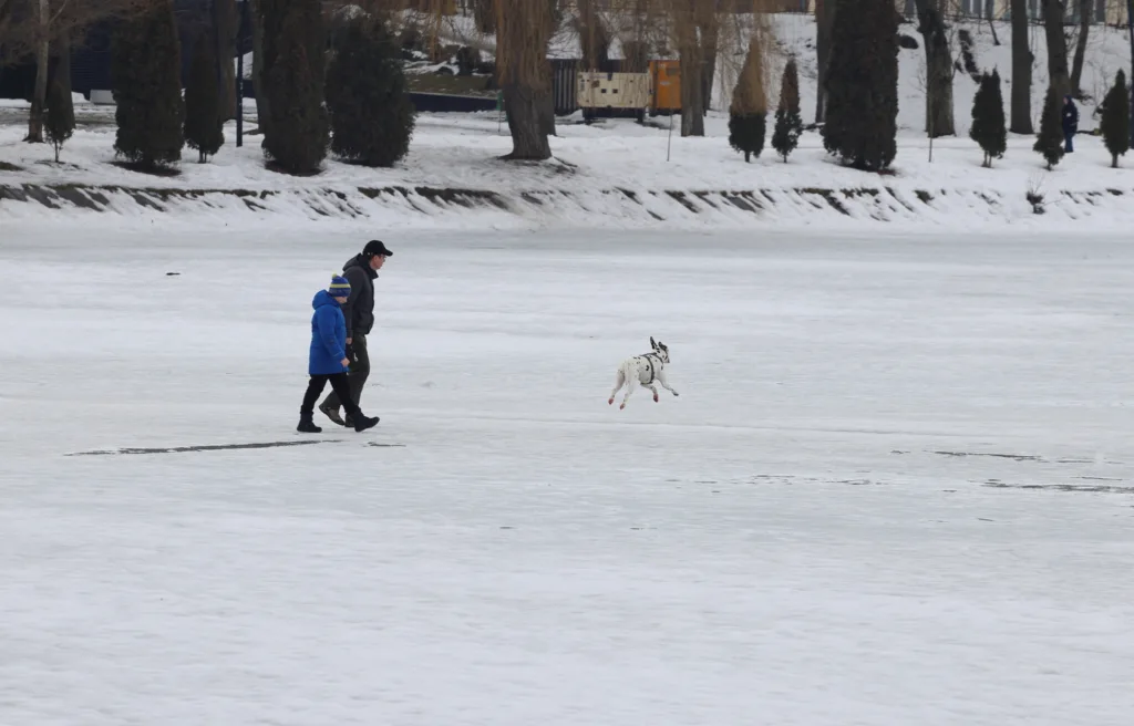 Люди гуляють із собакою по замерзлому озеру