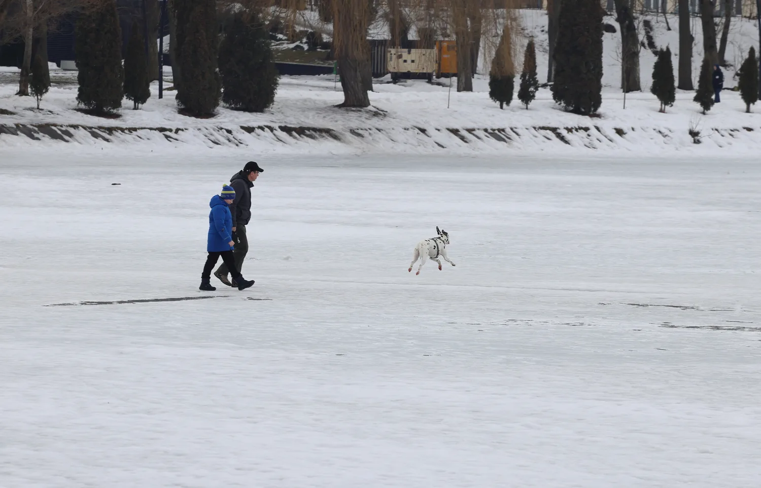 Люди гуляють із собакою по замерзлому озеру