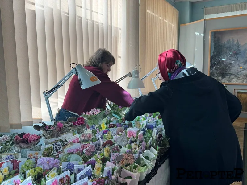 Жінки вибирають кімнатні рослини на ярмарку