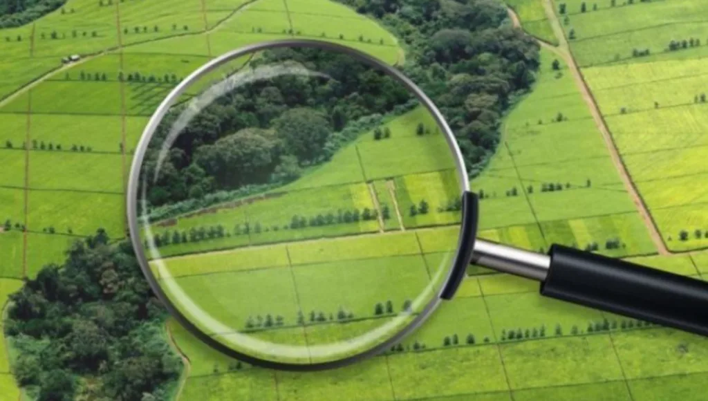 Лупа збільшує зображення зелених сільськогосподарських полів