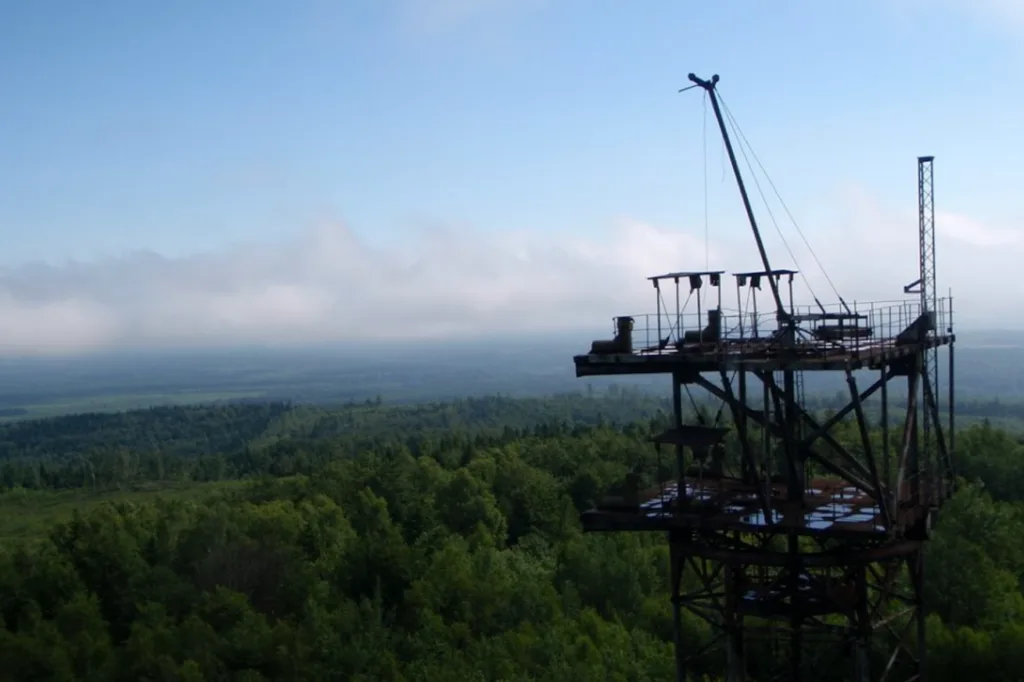 Промислова металева вежа серед зеленого лісу