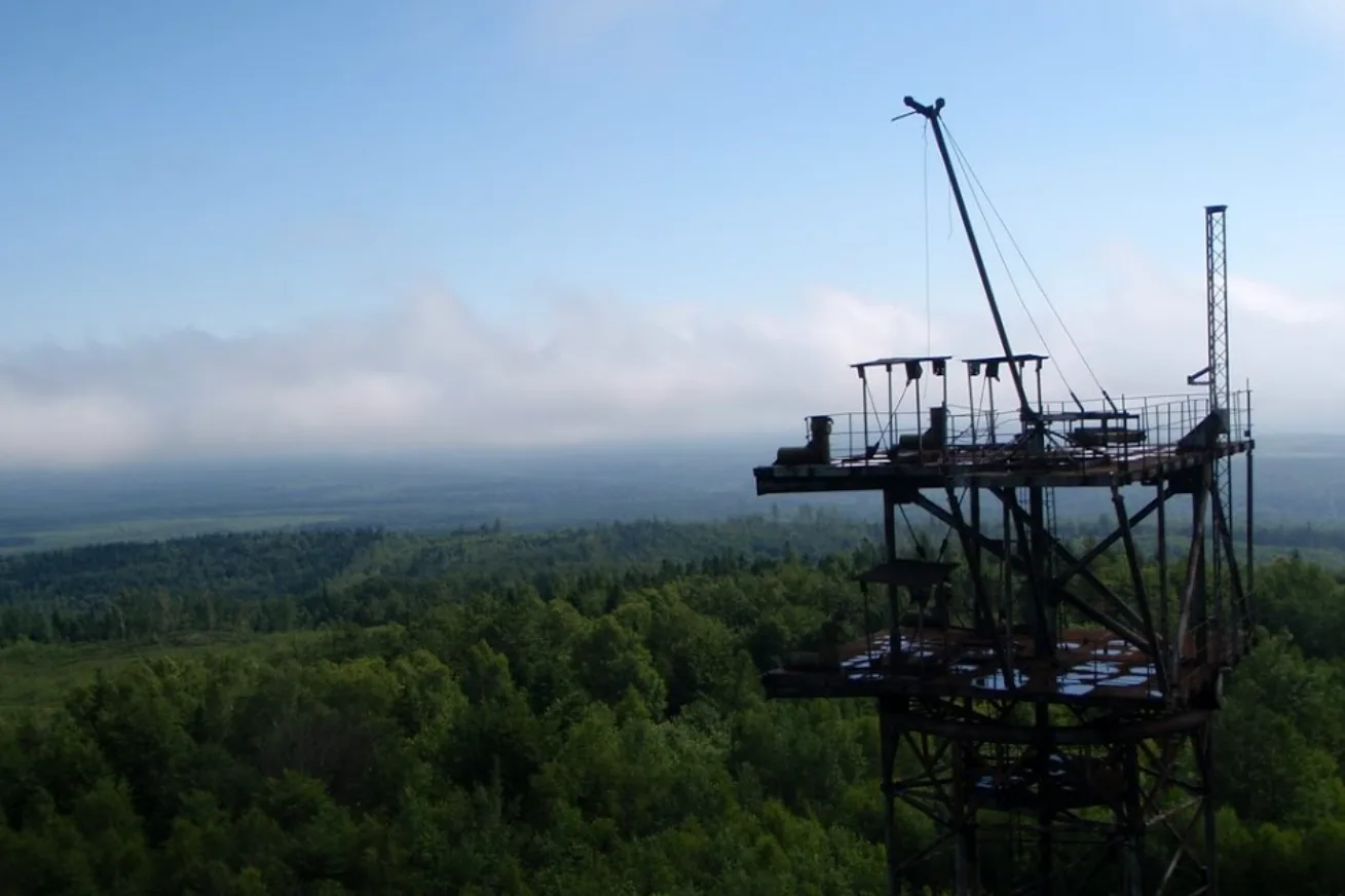 Промислова металева вежа серед зеленого лісу