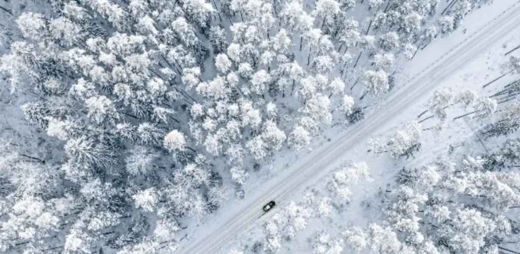 Автомобіль на зимовій дорозі серед засніженого лісу