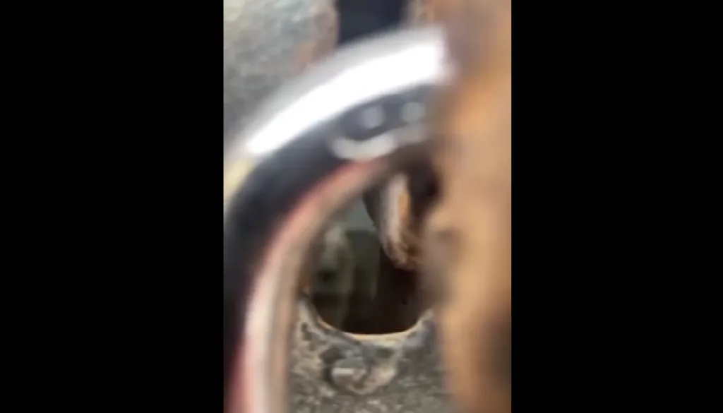 Зблизька зображений старий металевий замок