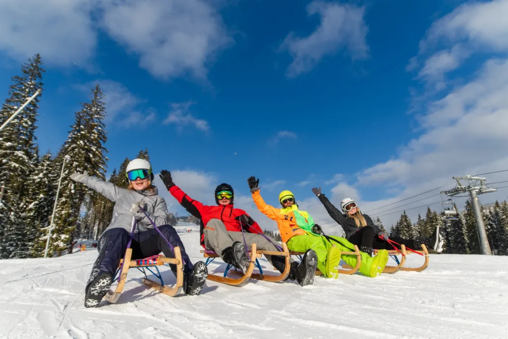 Друзі катаються на санях у горах взимку