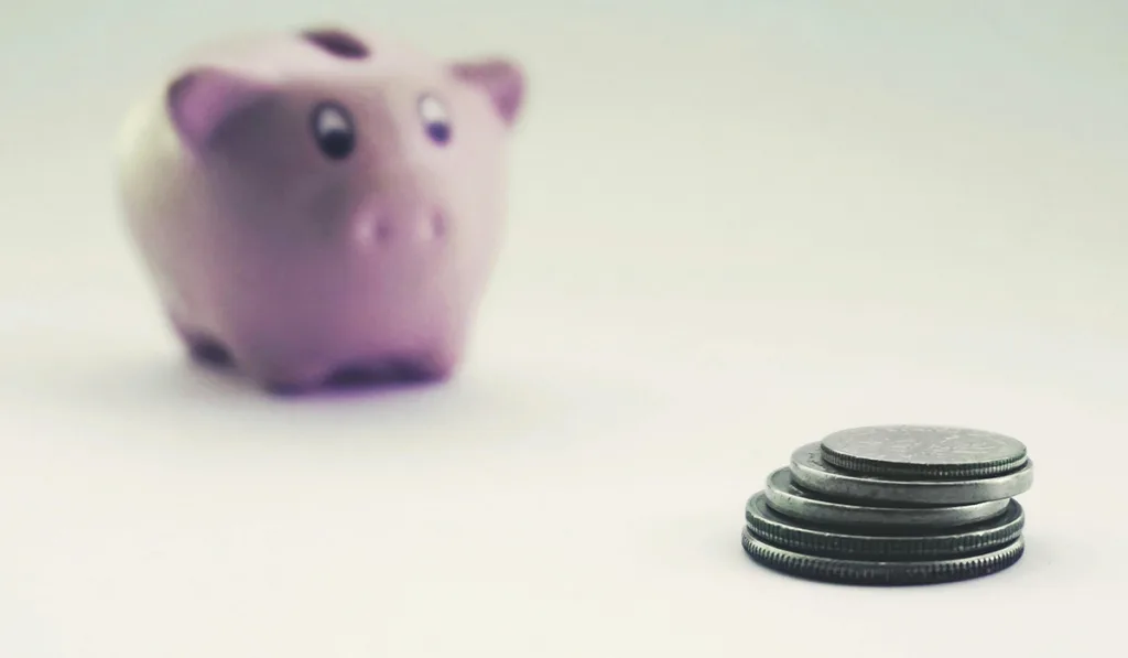 Свинка-скарбничка поруч із стопкою монет
