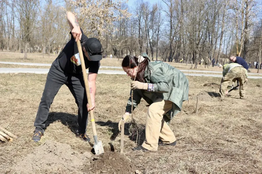 Люди садять дерева в парку навесні