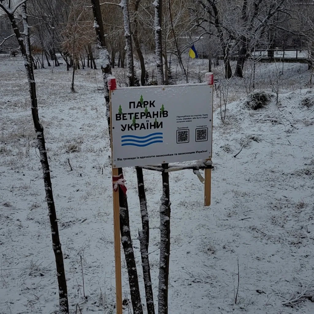 Парк ветеранів України взимку, сніг і прапор