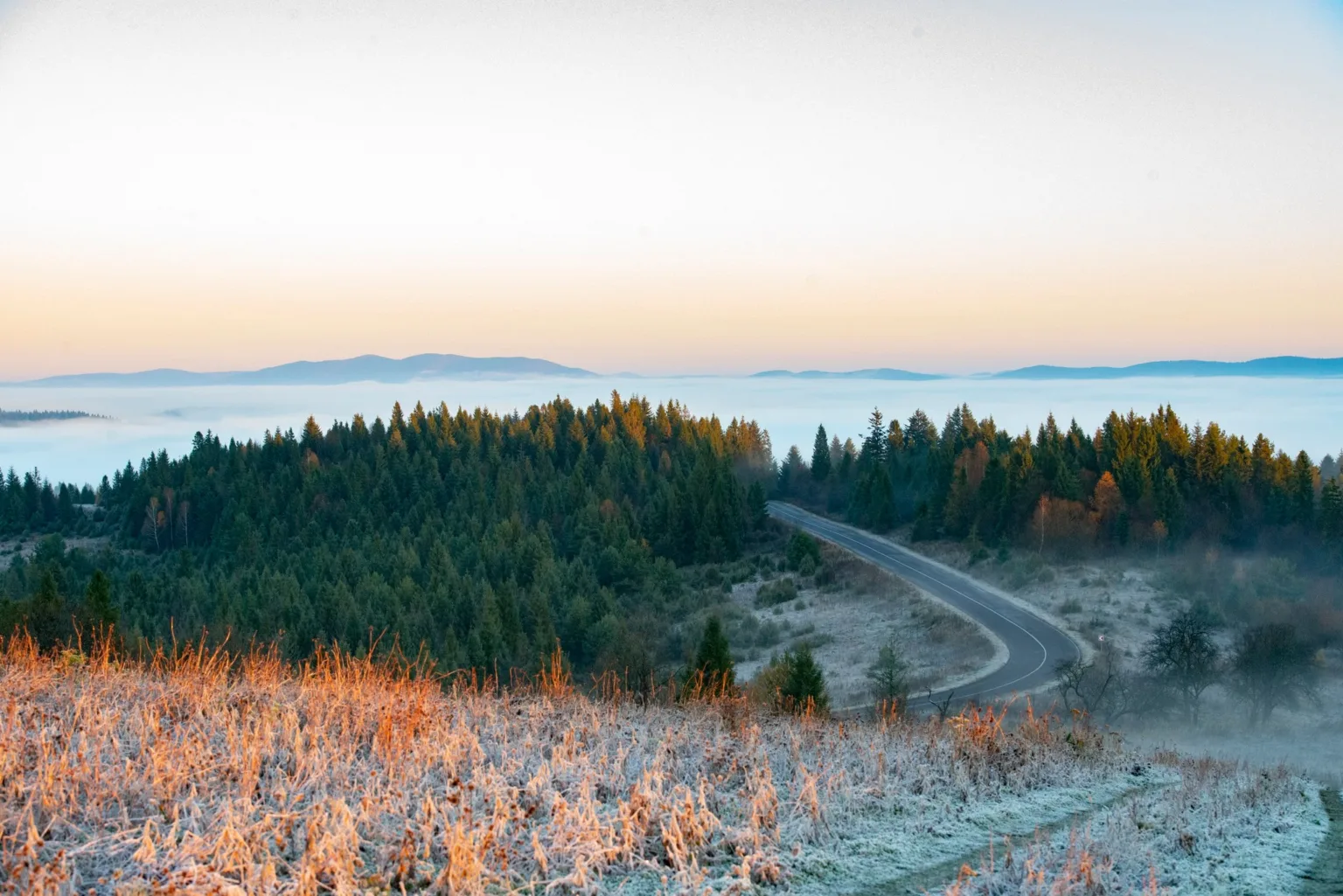 Звивиста дорога серед зимового лісу на світанку
