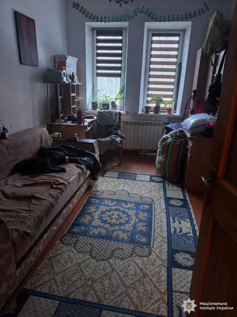 Кімната з диваном, килимом і двома вікнами