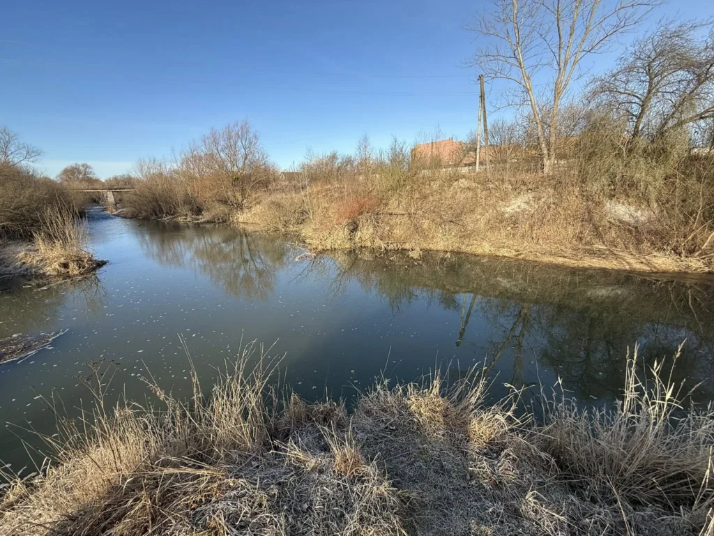 Зимовий пейзаж річки з сухою травою
