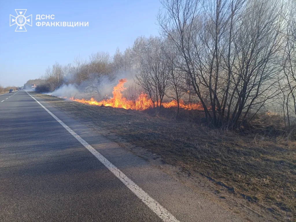 Пожежа сухої трави біля дороги