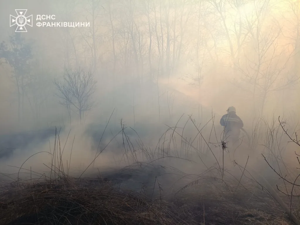 Пожежник гасить лісову пожежу серед диму