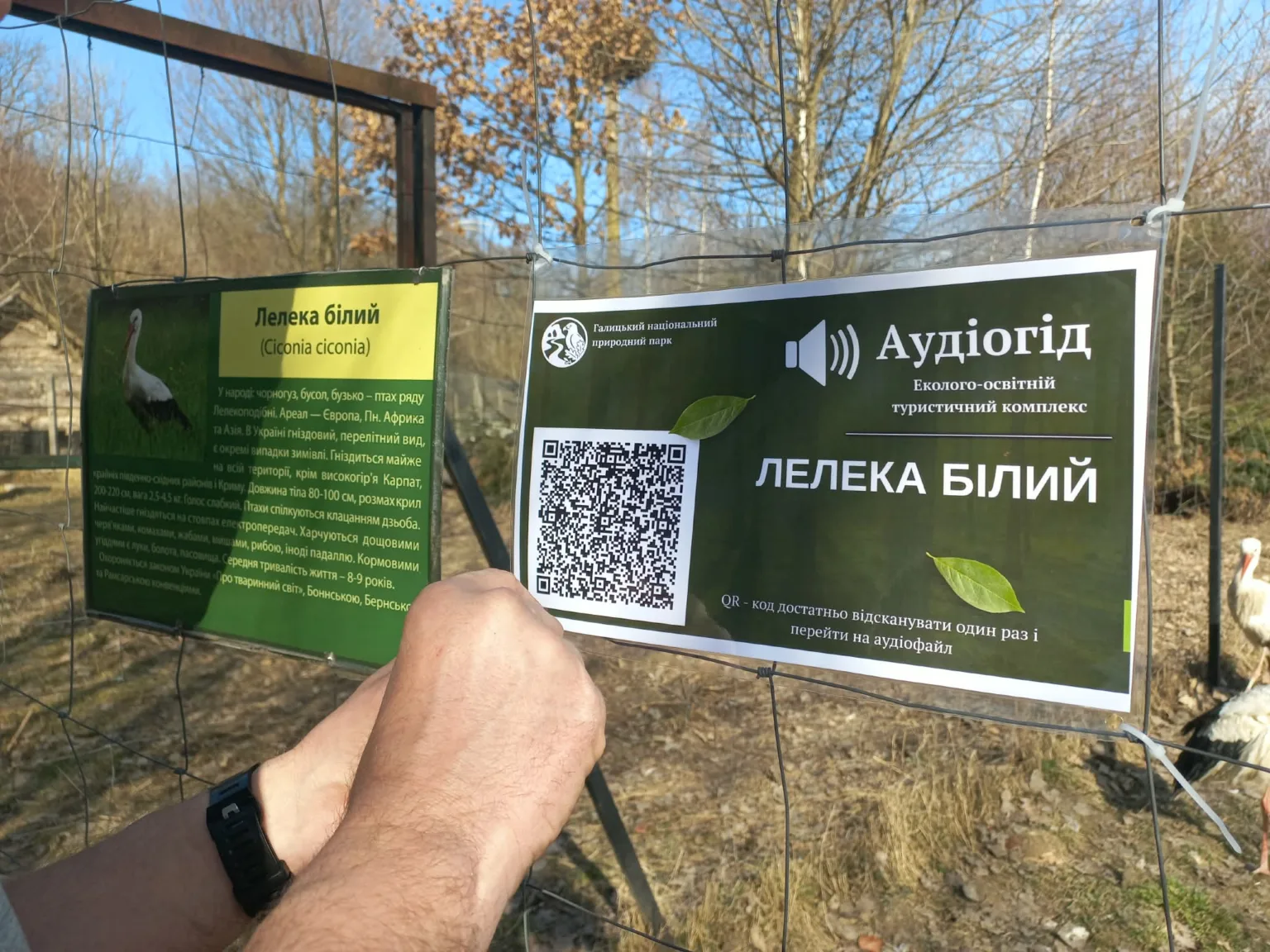 Інформаційні таблички про лелеку білого в парку