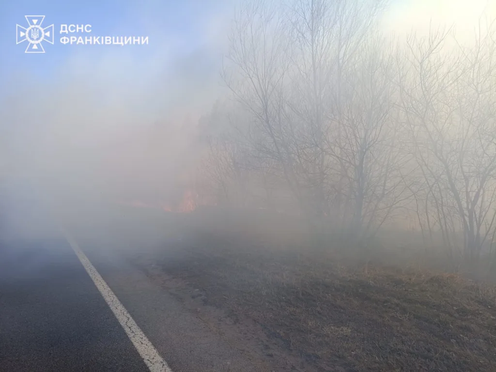 Дим та вогонь біля дороги й дерев