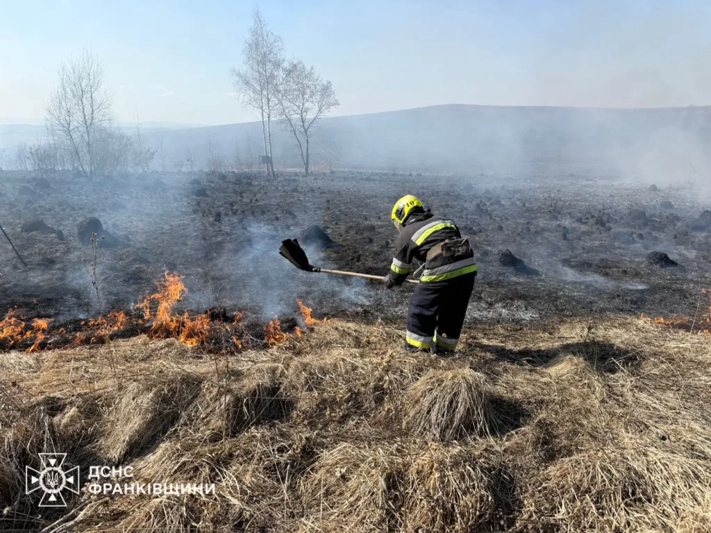 Рятувальник гасить пожежу сухої трави в полі