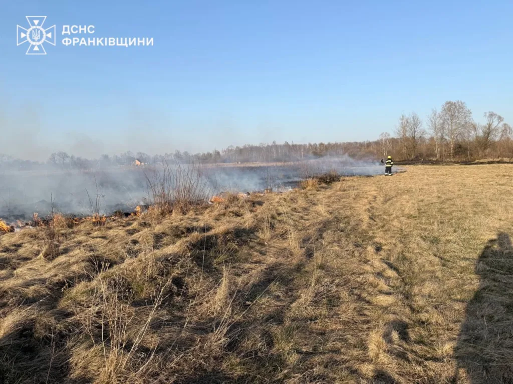 Рятувальник гасить пожежу сухої трави в полі