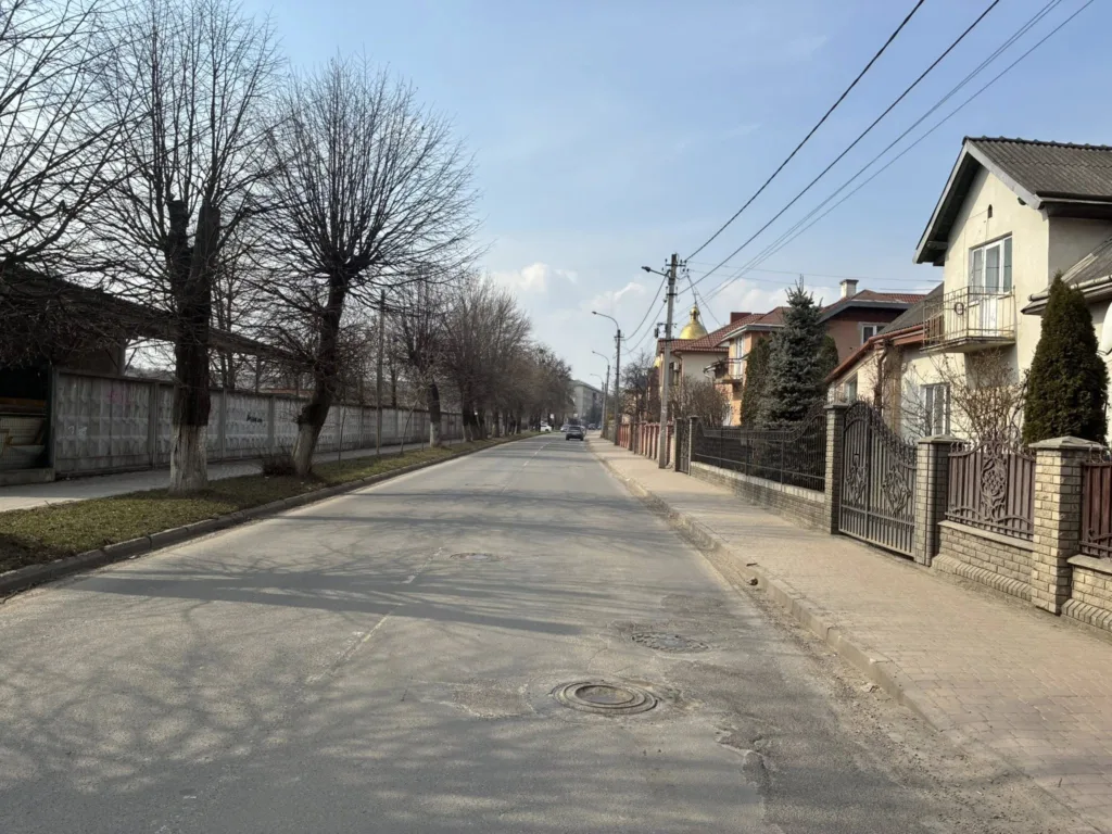 Порожня вулиця з будинками та деревами вздовж дороги