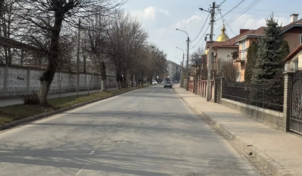 Спокійна вулиця з будинками та деревами вздовж дороги