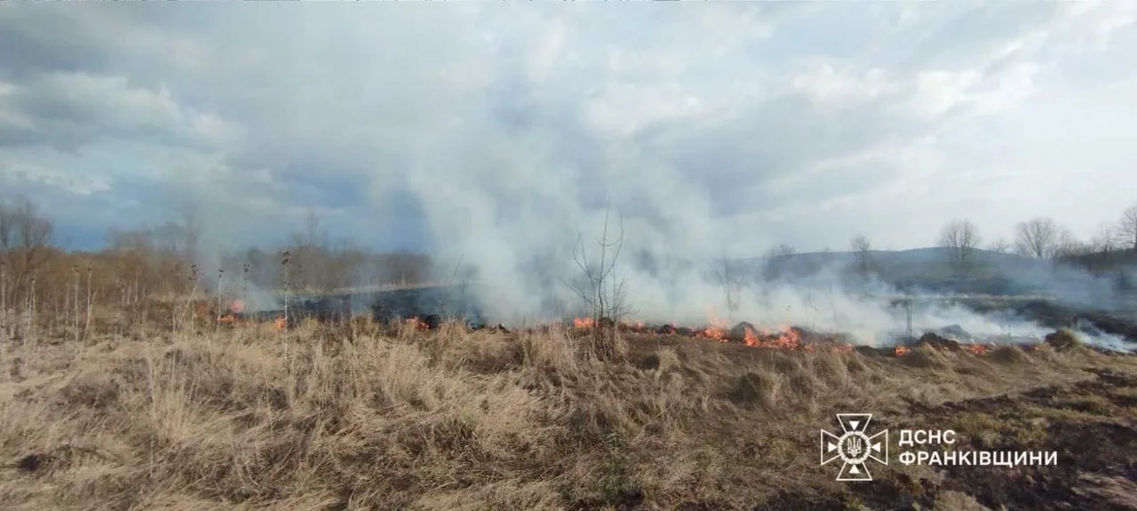 Пожежа сухої трави на полі