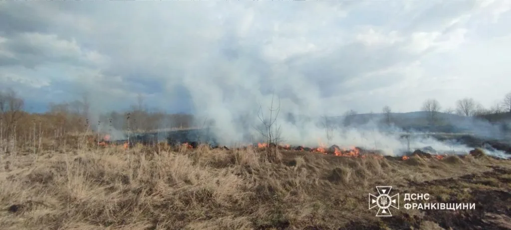 Пожежа сухої трави на відкритій місцевості