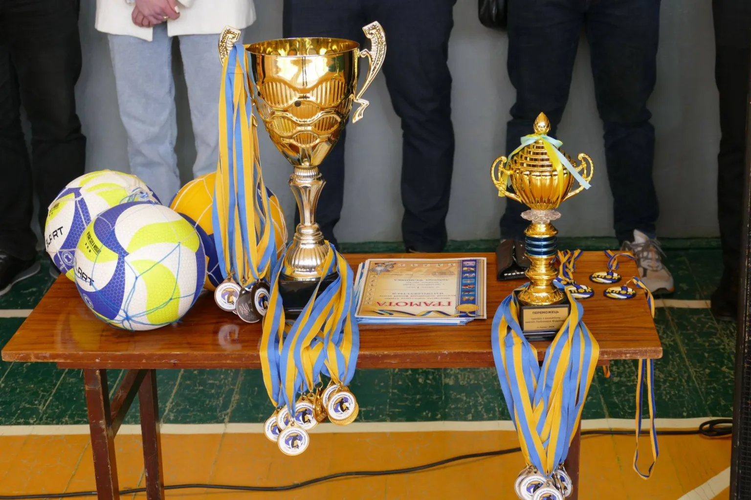 Нагороди та медалі для волейбольного турніру