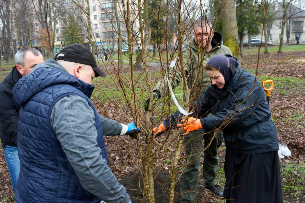 Люди саджають дерево у міському парку