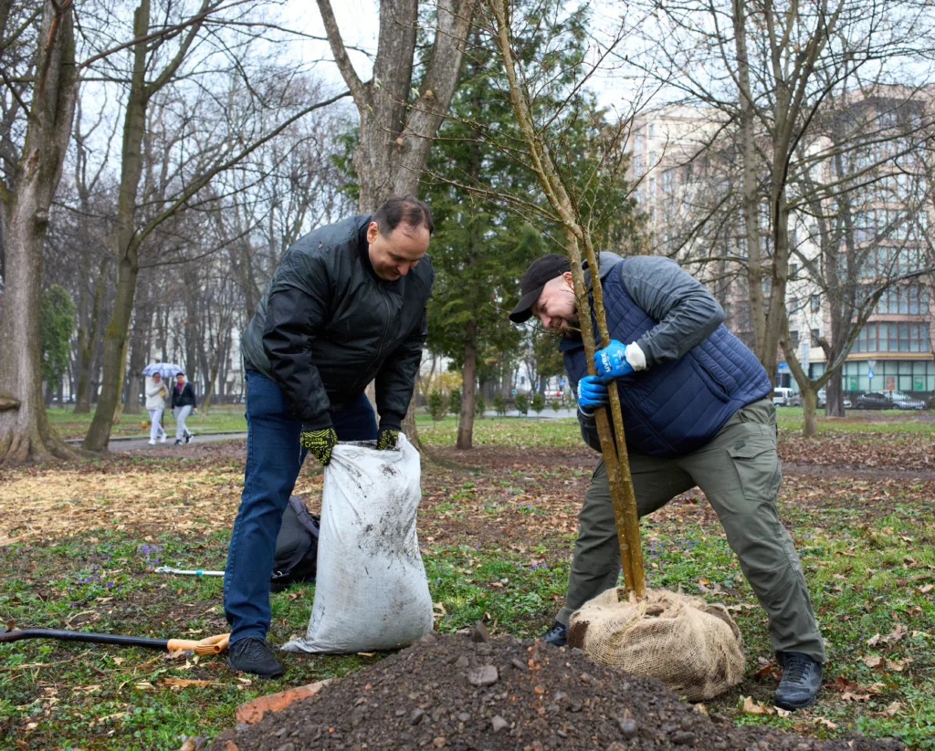 Двоє чоловіків саджають дерево в міському парку