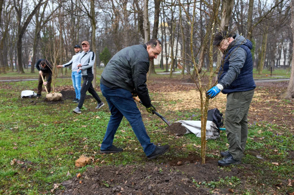 Люди саджають дерева у міському парку