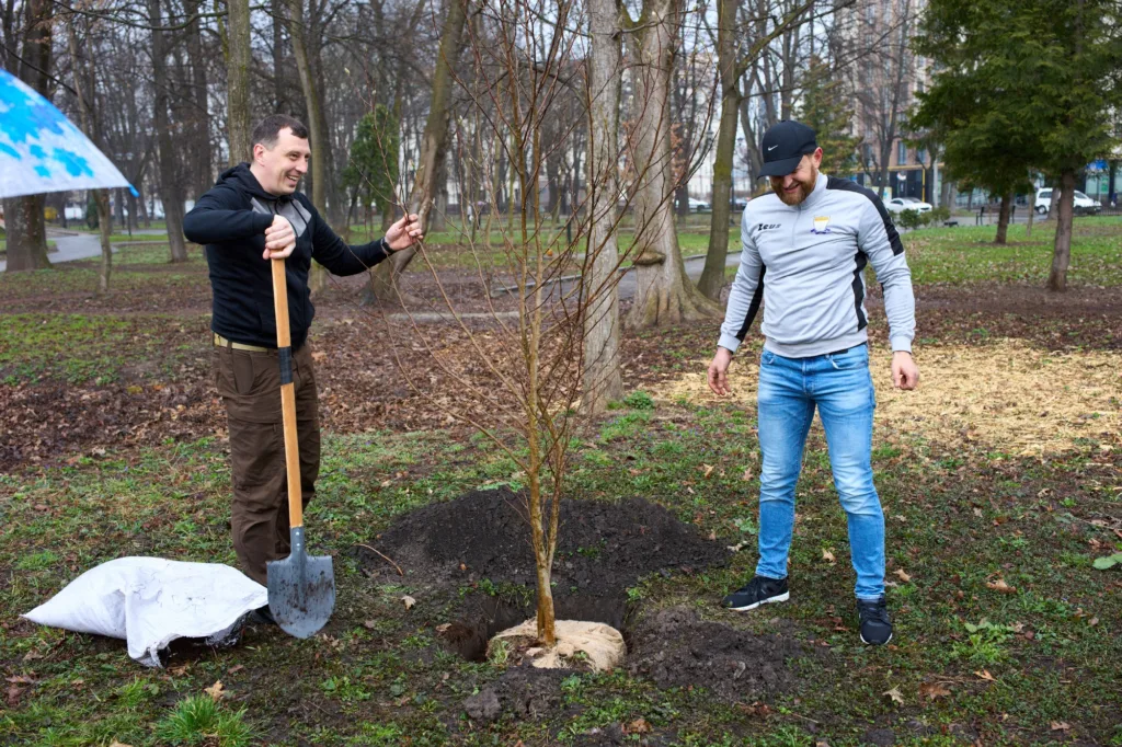 Люди садять дерево в міському парку
