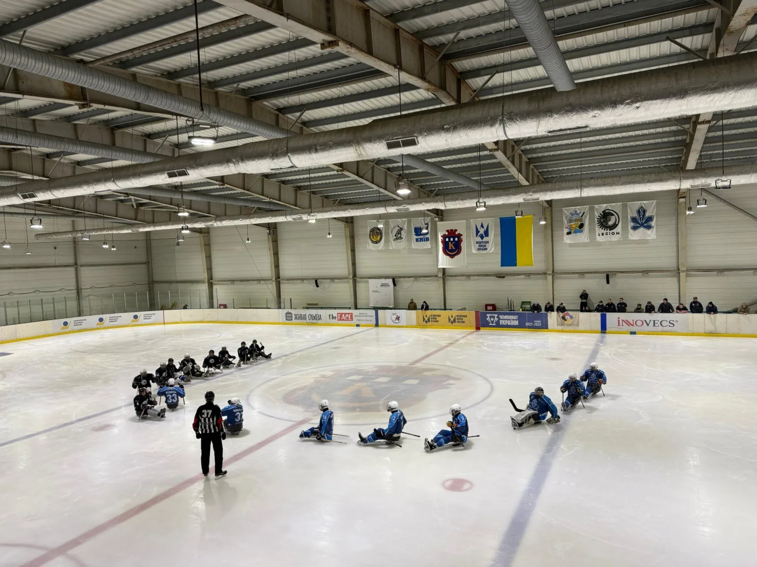 Гравці у хокеї на салазках на льодовій арені