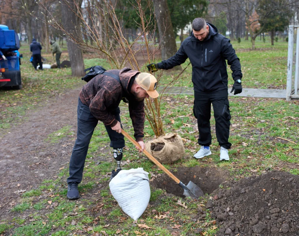 Двоє чоловіків саджають дерево в міському парку