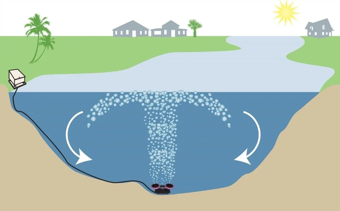 Схема аерації ставка з бульбашками повітря