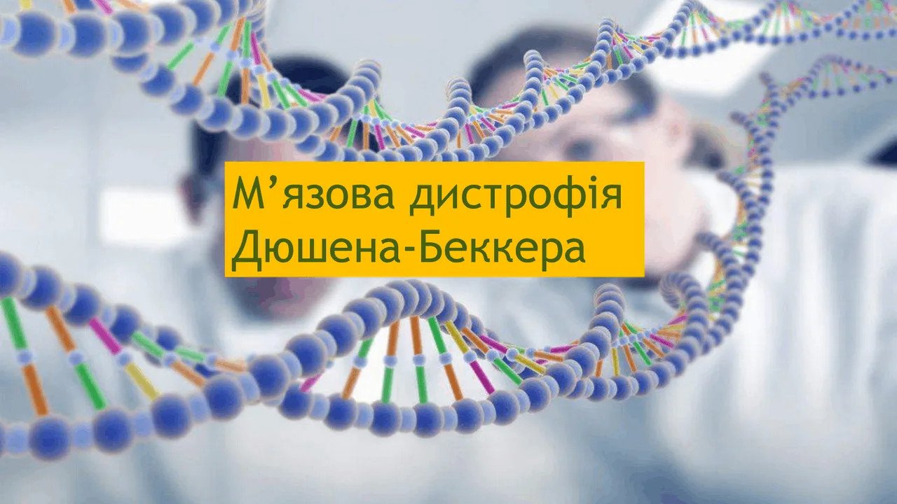 Генетичні дослідження м’язової дистрофії Дюшенна-Беккера