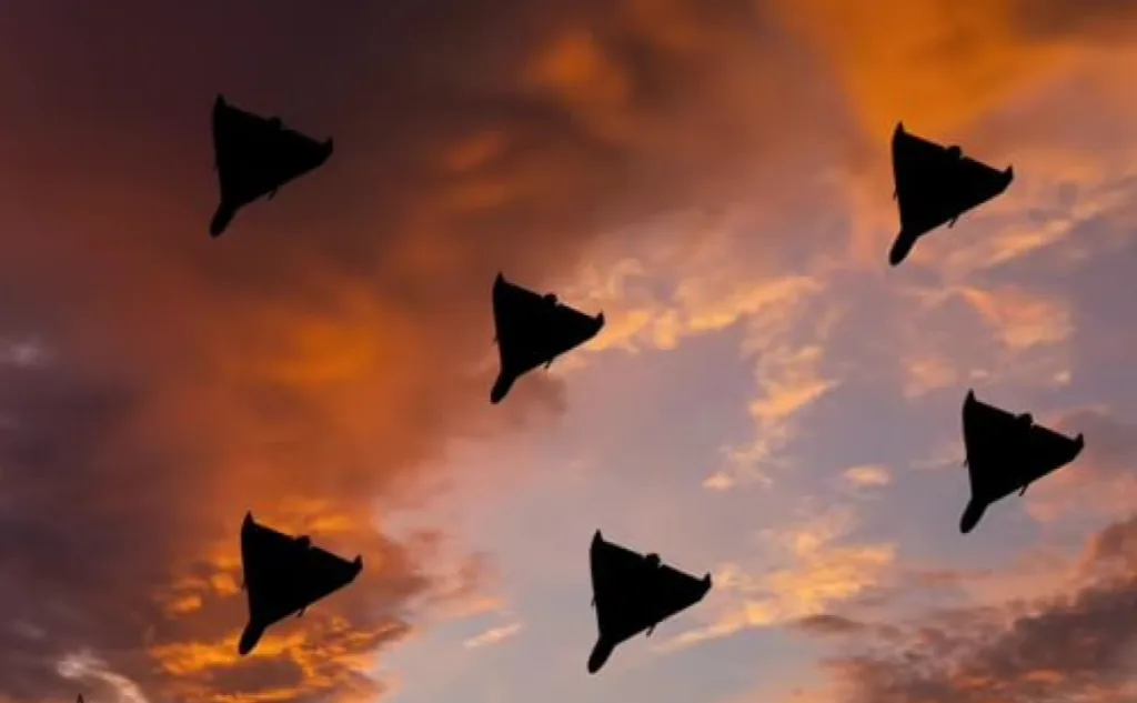 Безпілотники летять у небі на заході сонця