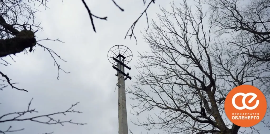 Електричний стовп серед дерев узимку