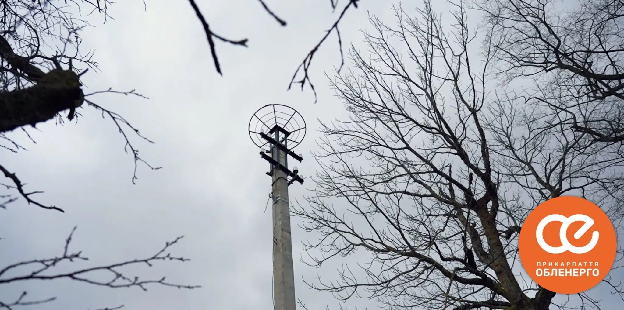 Електричний стовп серед дерев узимку